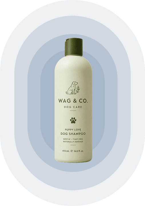 pet care (3)
